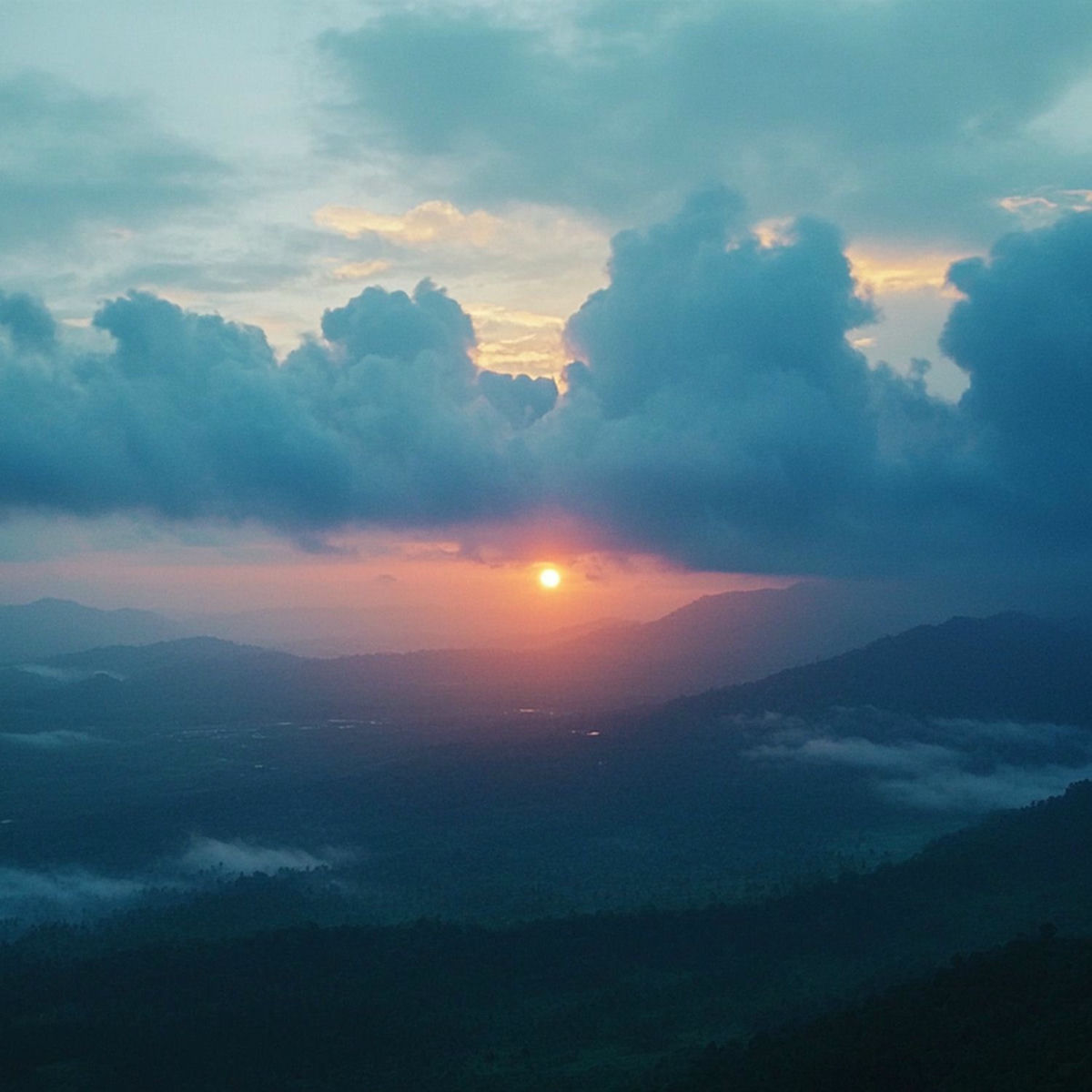 Album cover of Tears of Stars