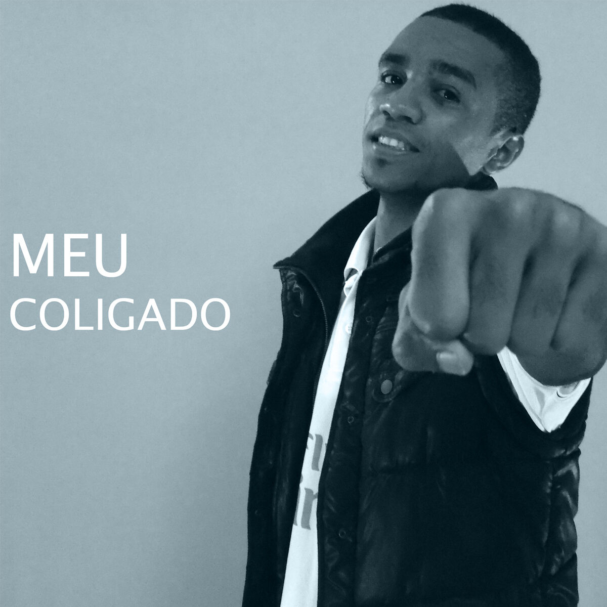Album cover of Meu Coligado