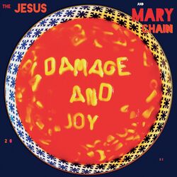 Cover of Damage and Joy (Deluxe)