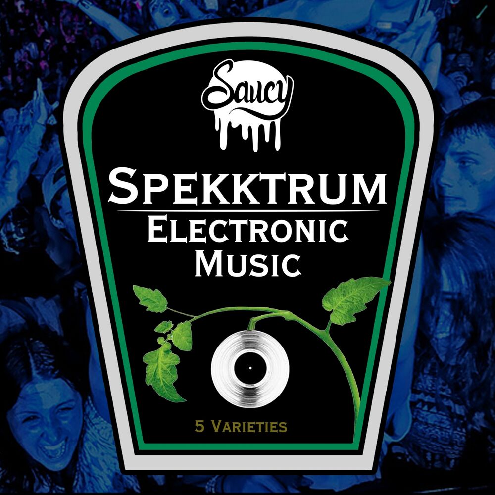 Picture of Electronic Music