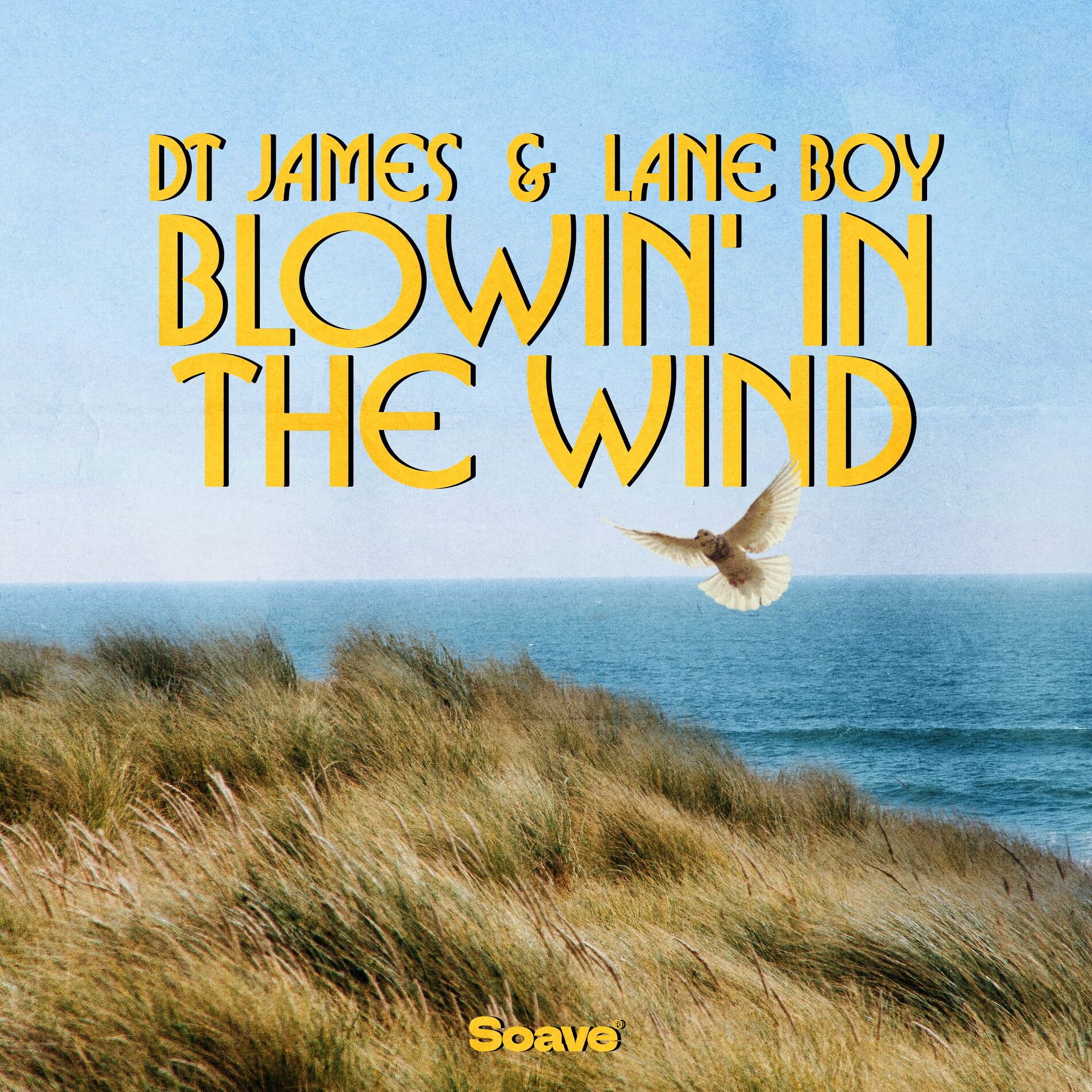 Album cover of Blowin' in the Wind