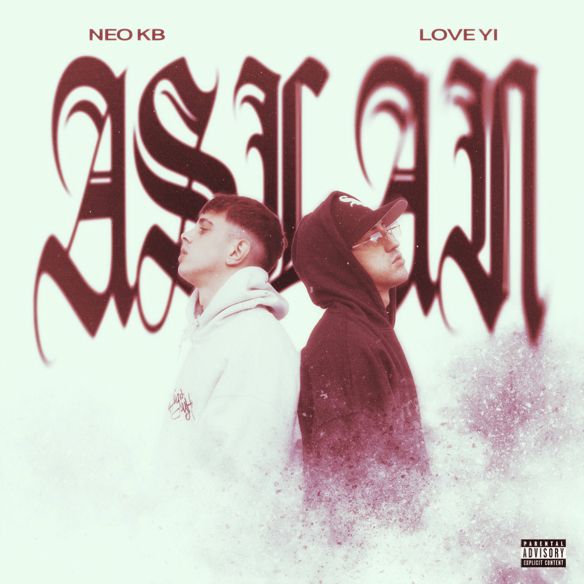 Album cover of ASLAN