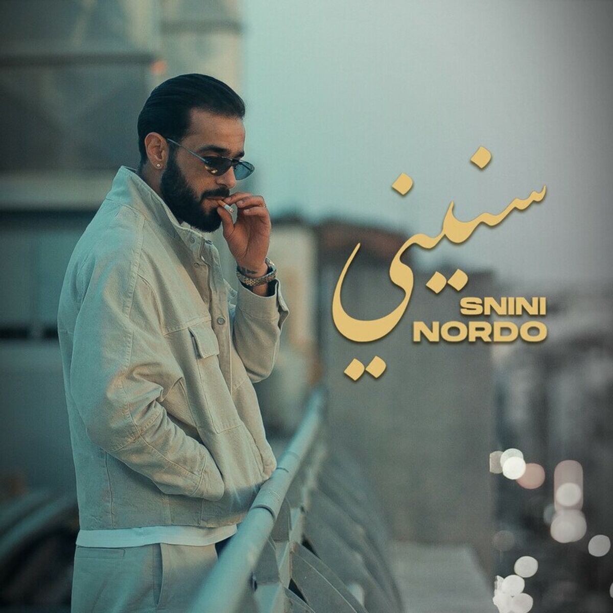 Album cover of Snini