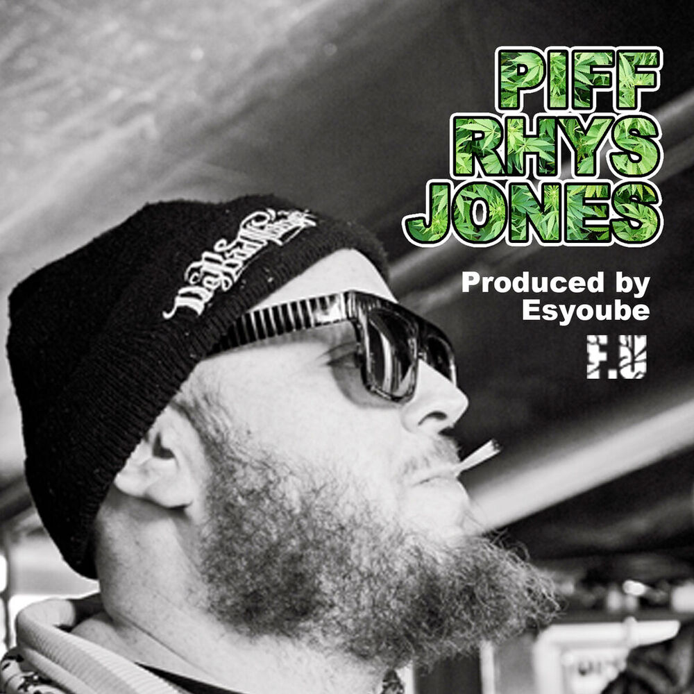 Picture of Piff Rhys Jones