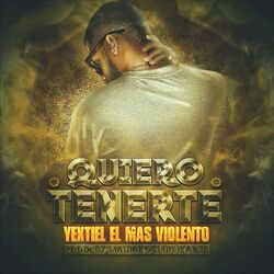 Cover of Quiero Tenerte