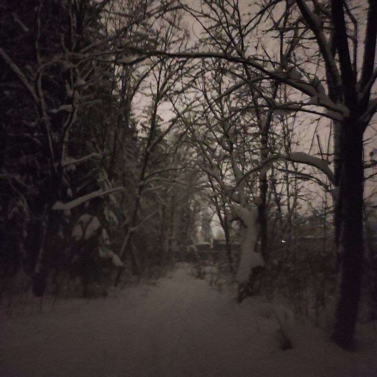 Album cover of Radiance