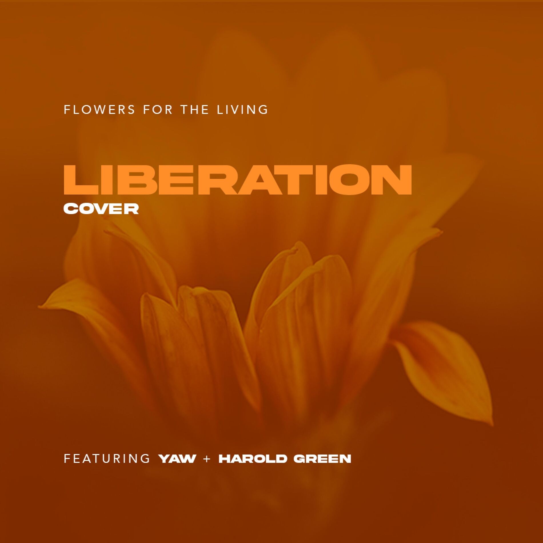 Album cover of Liberation (feat. Yaw & Harold Green)