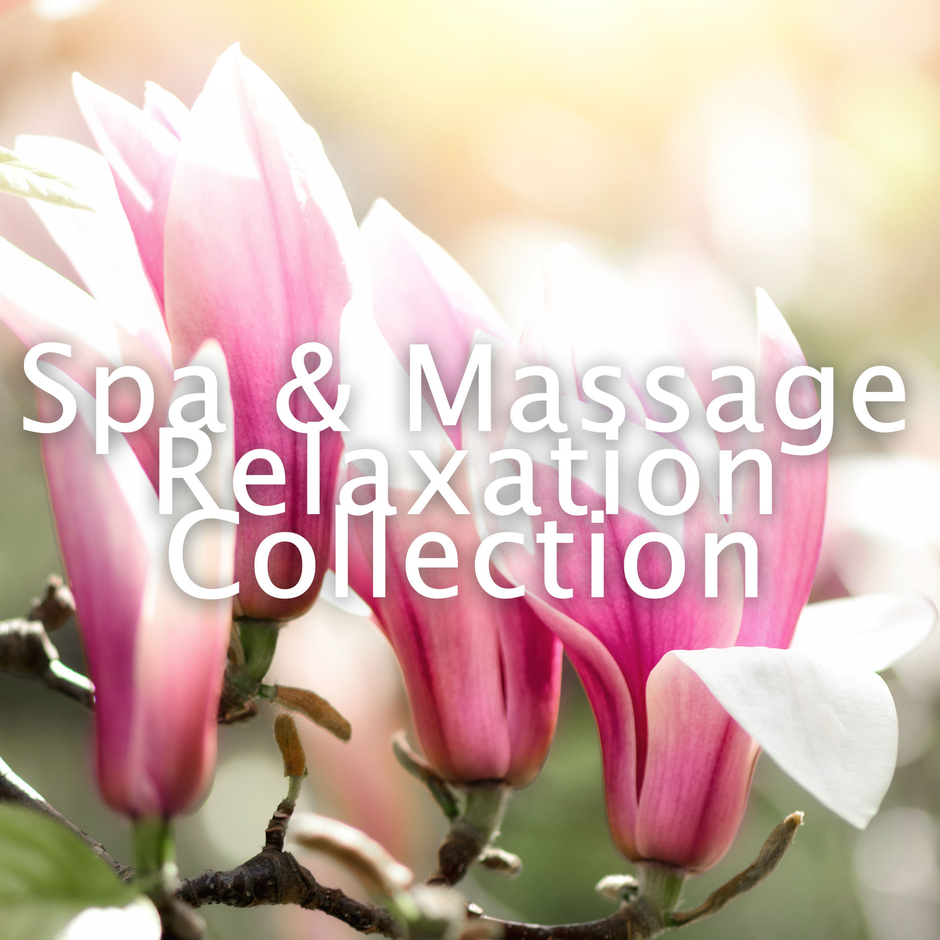 Album cover of Spa & Massage Relaxation Collection