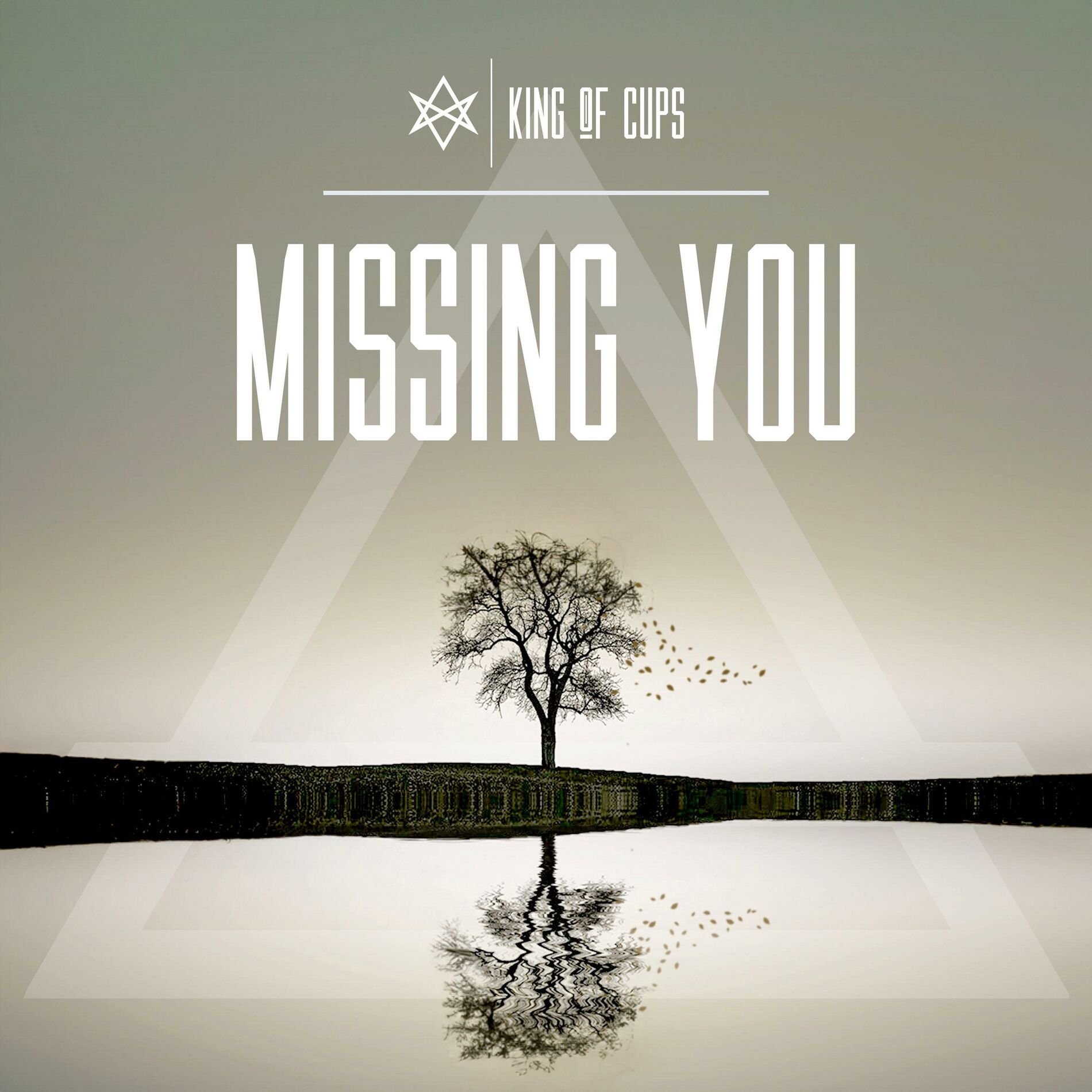 Album cover of Missing You