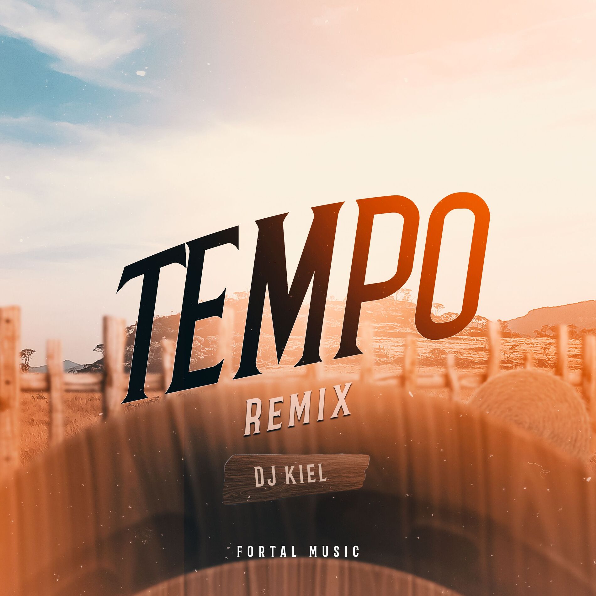 Album cover of Tempo (Remix)
