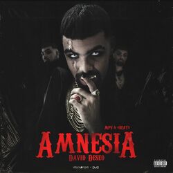 Cover of Amnesia