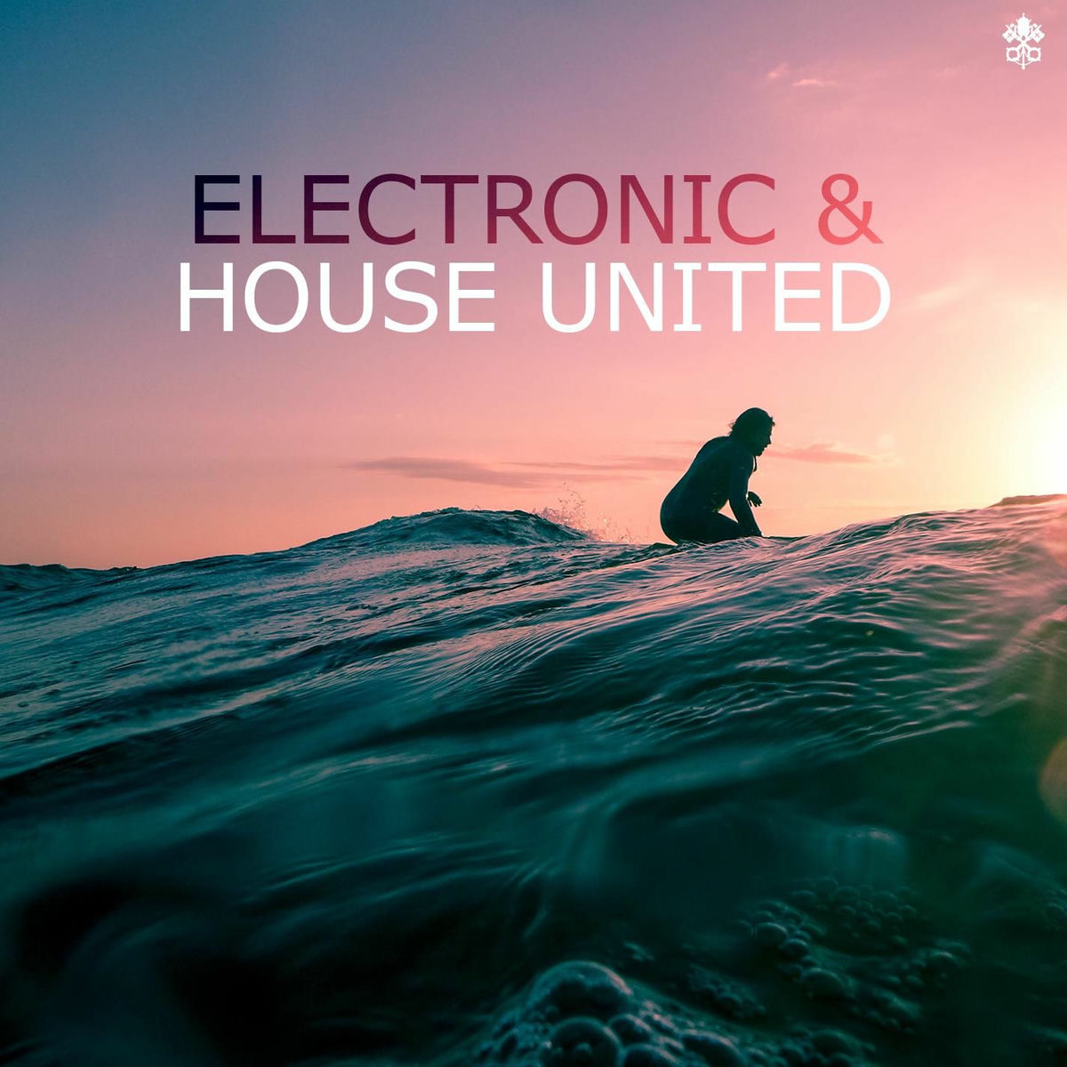Album cover of Electronic & House United