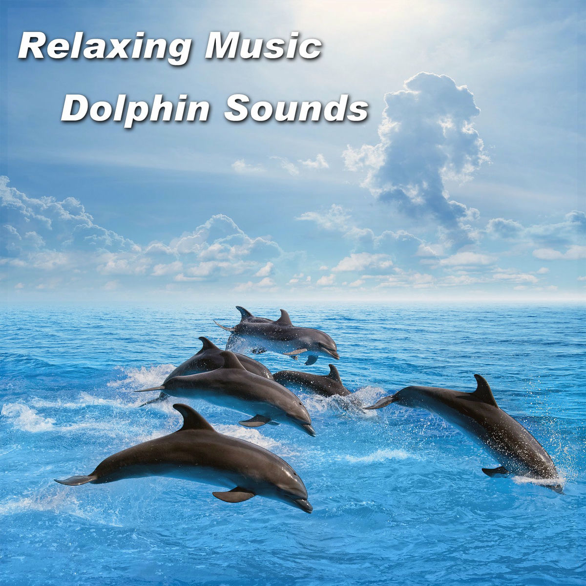Album cover of Relaxing Music Dolphin Sounds