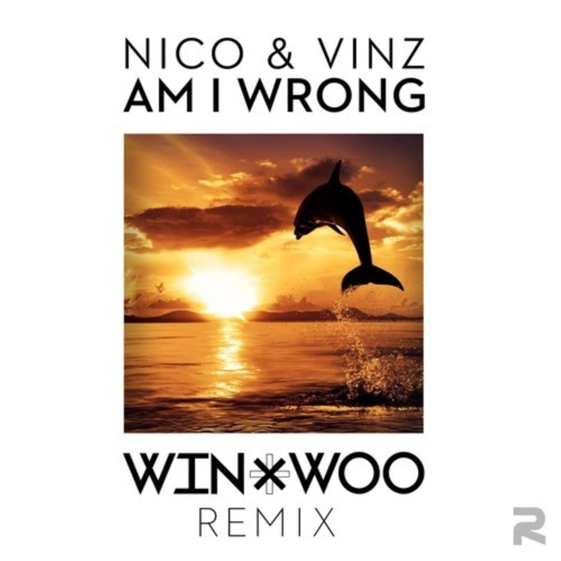 Album cover of Am I Wrong (Win x Woo Remix)