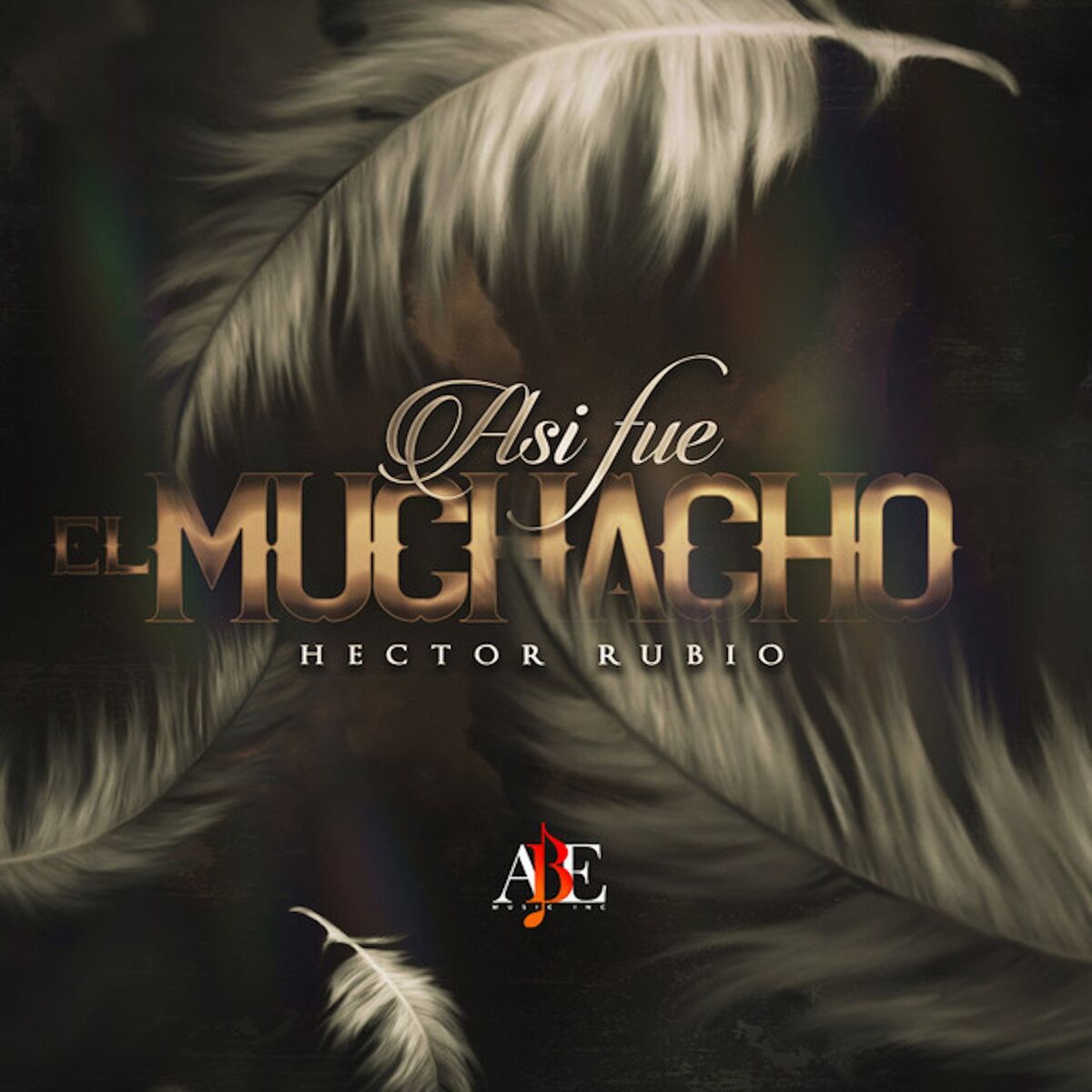 Album cover of Asi Fue El Muchacho