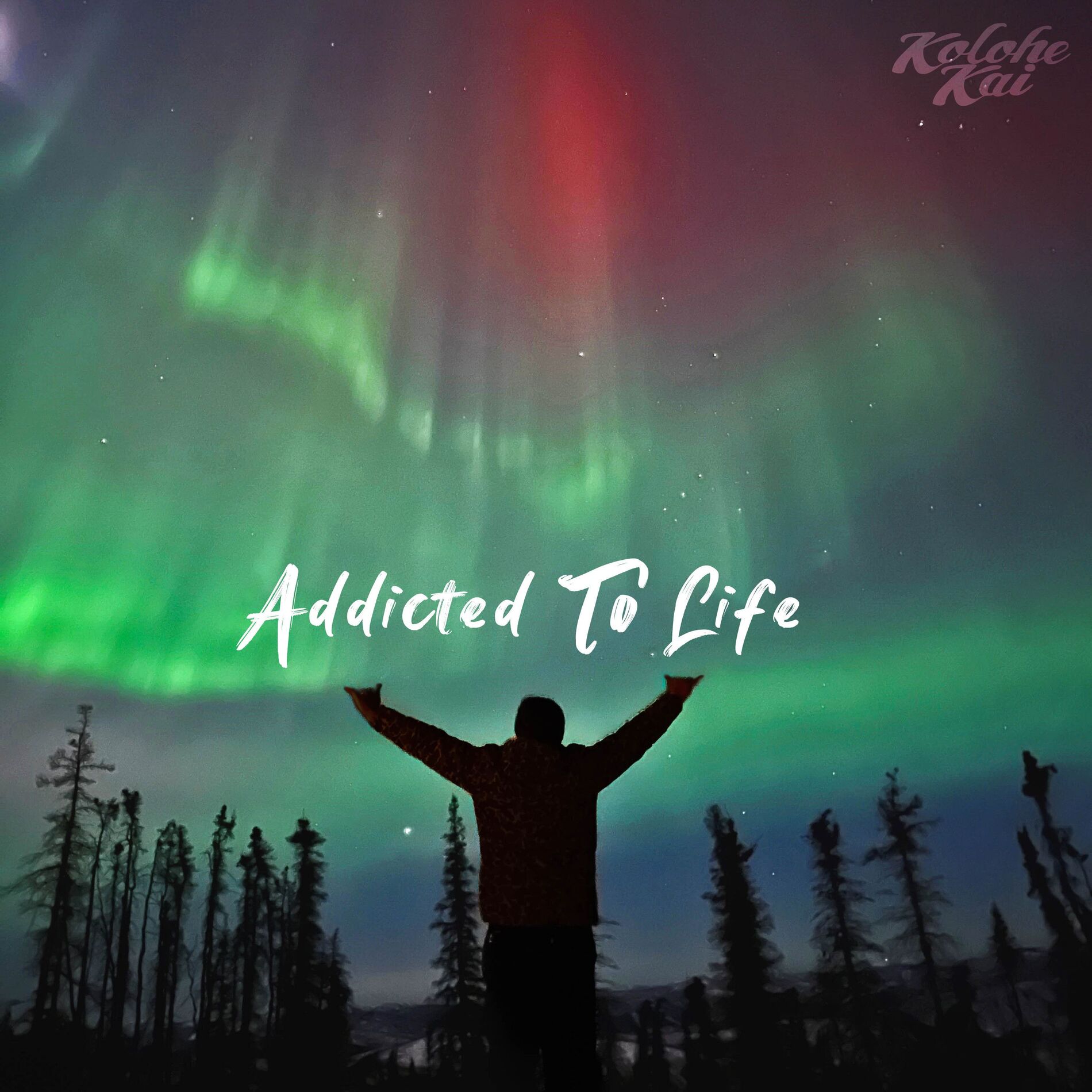 Album cover of Addicted To Life