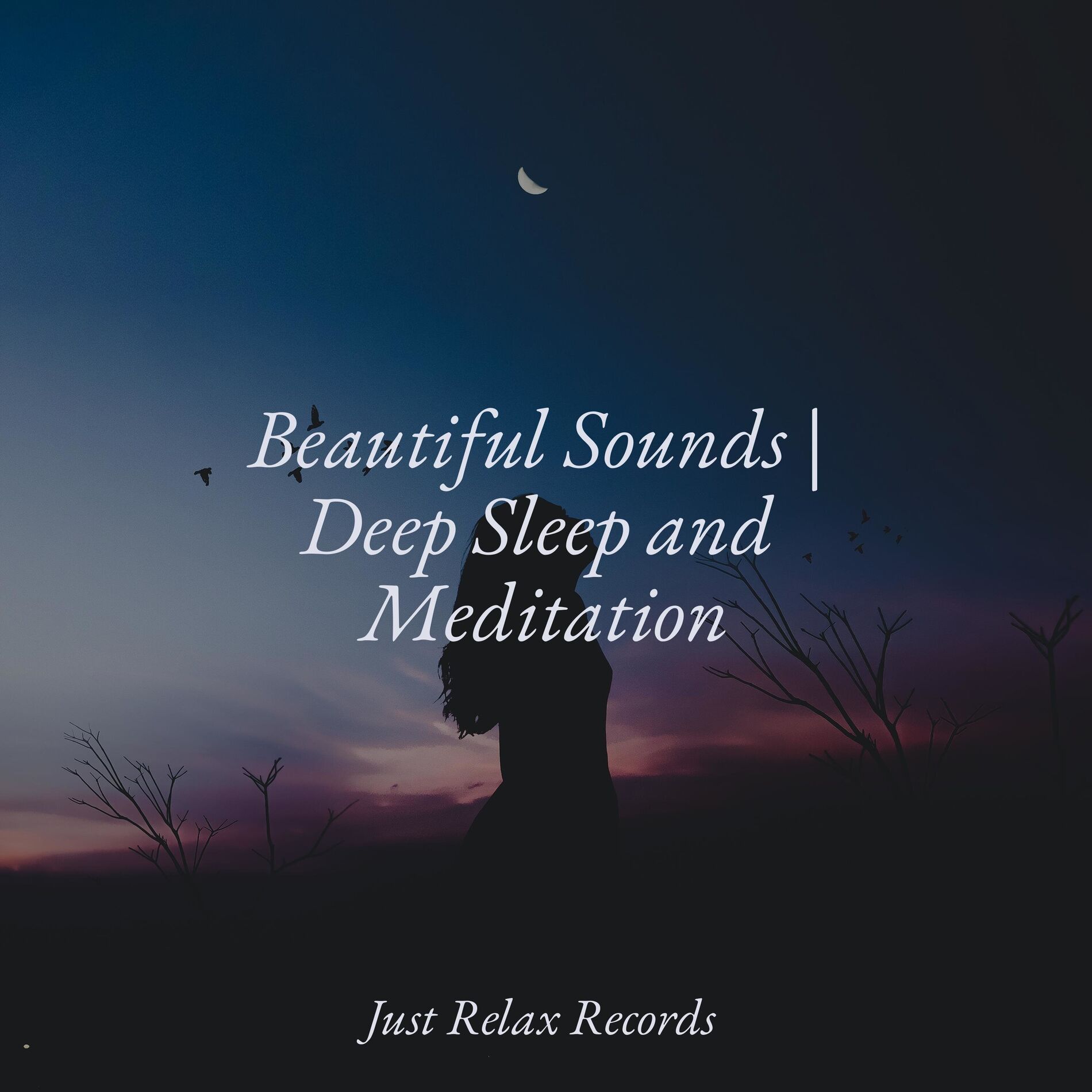 Album cover of Beautiful Sounds | Deep Sleep and Meditation