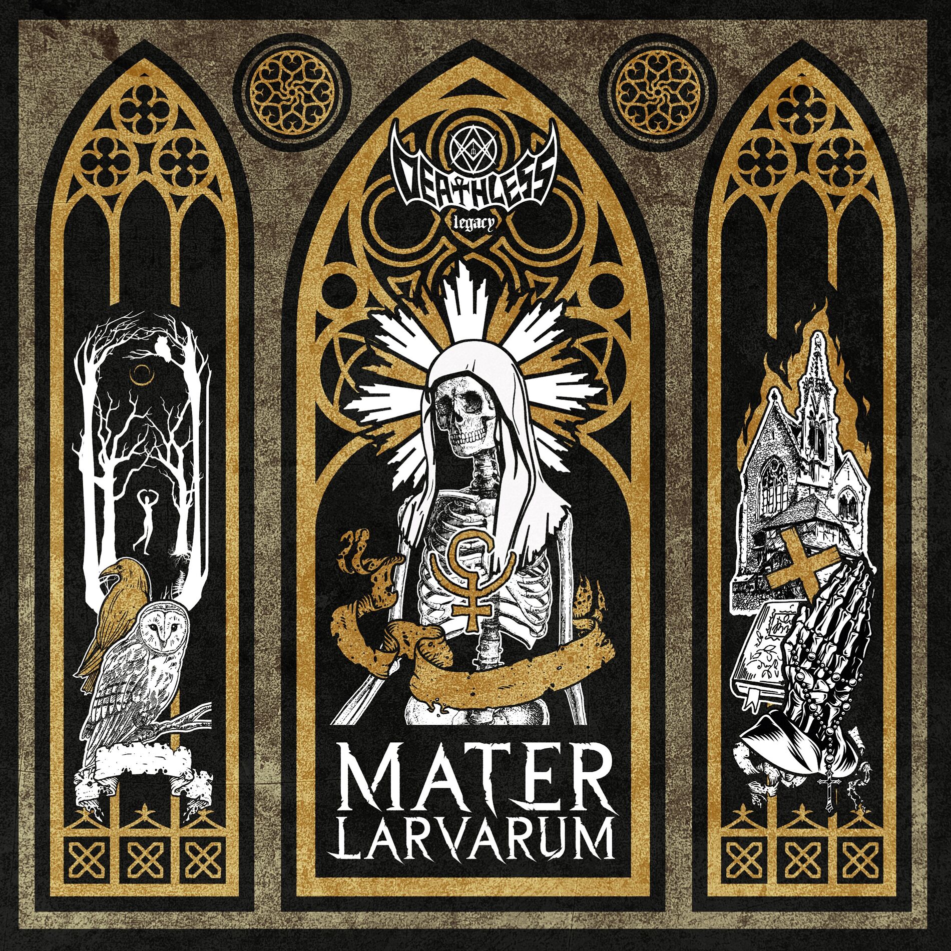Album cover of Mater Larvarum