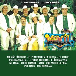 Cover of Lágrimas... No Más