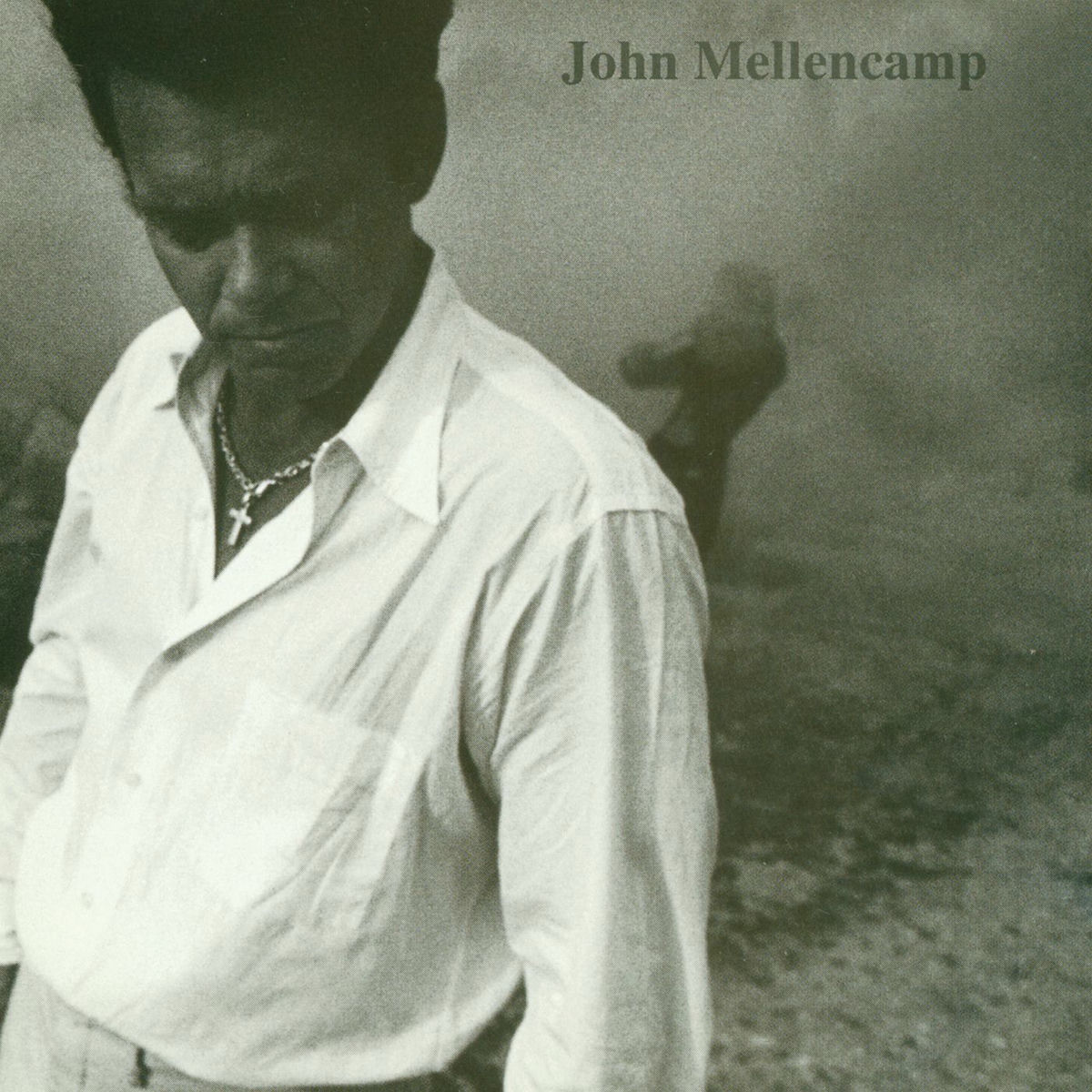 Album cover of John Mellencamp
