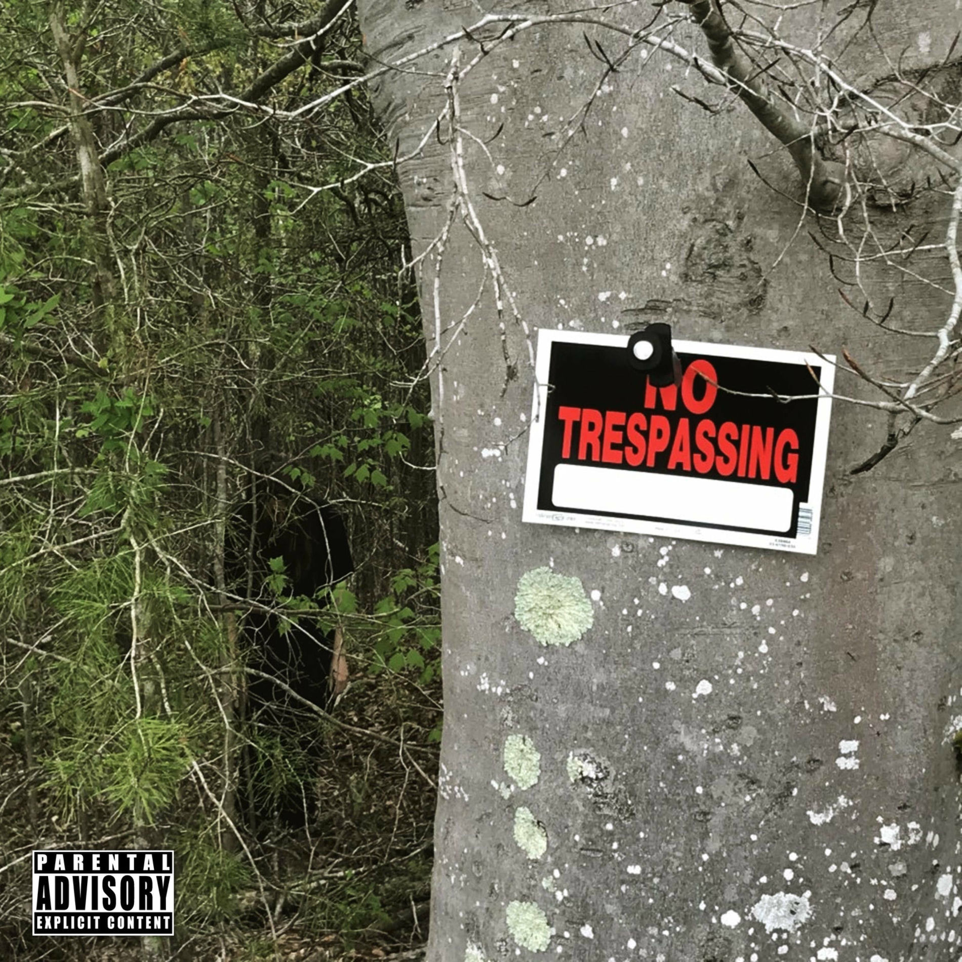 Album cover of Trespasing