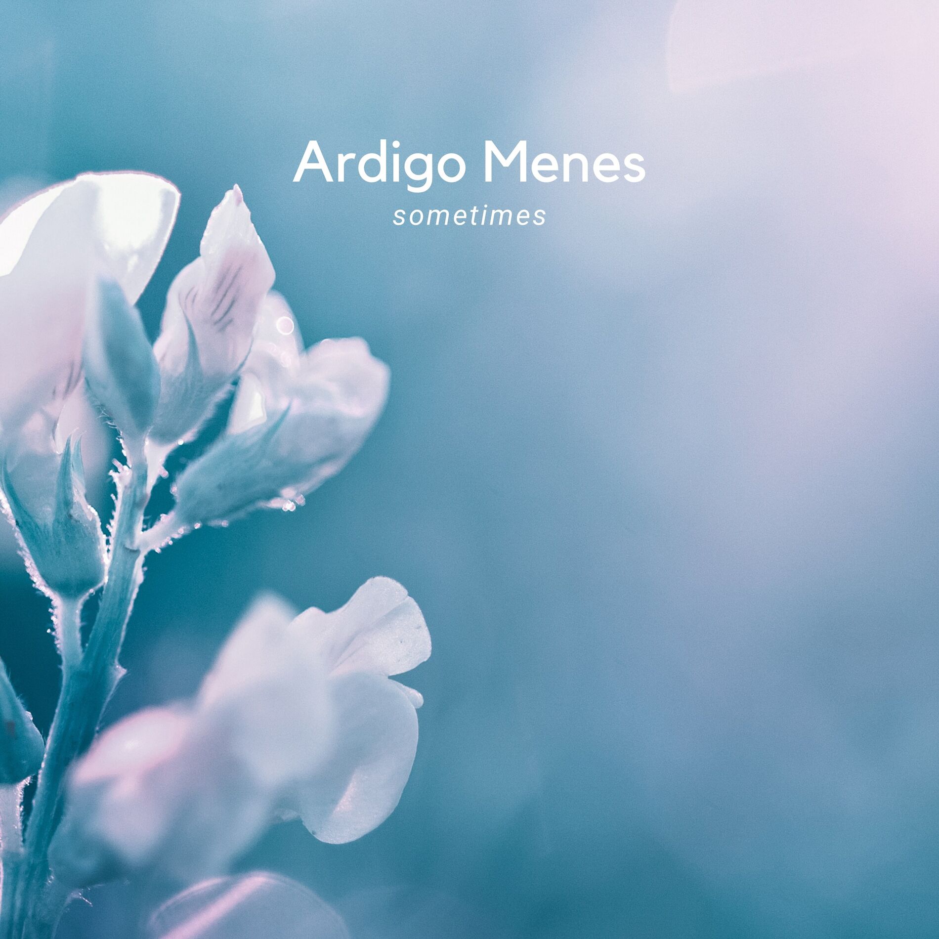 Album cover of Sometimes