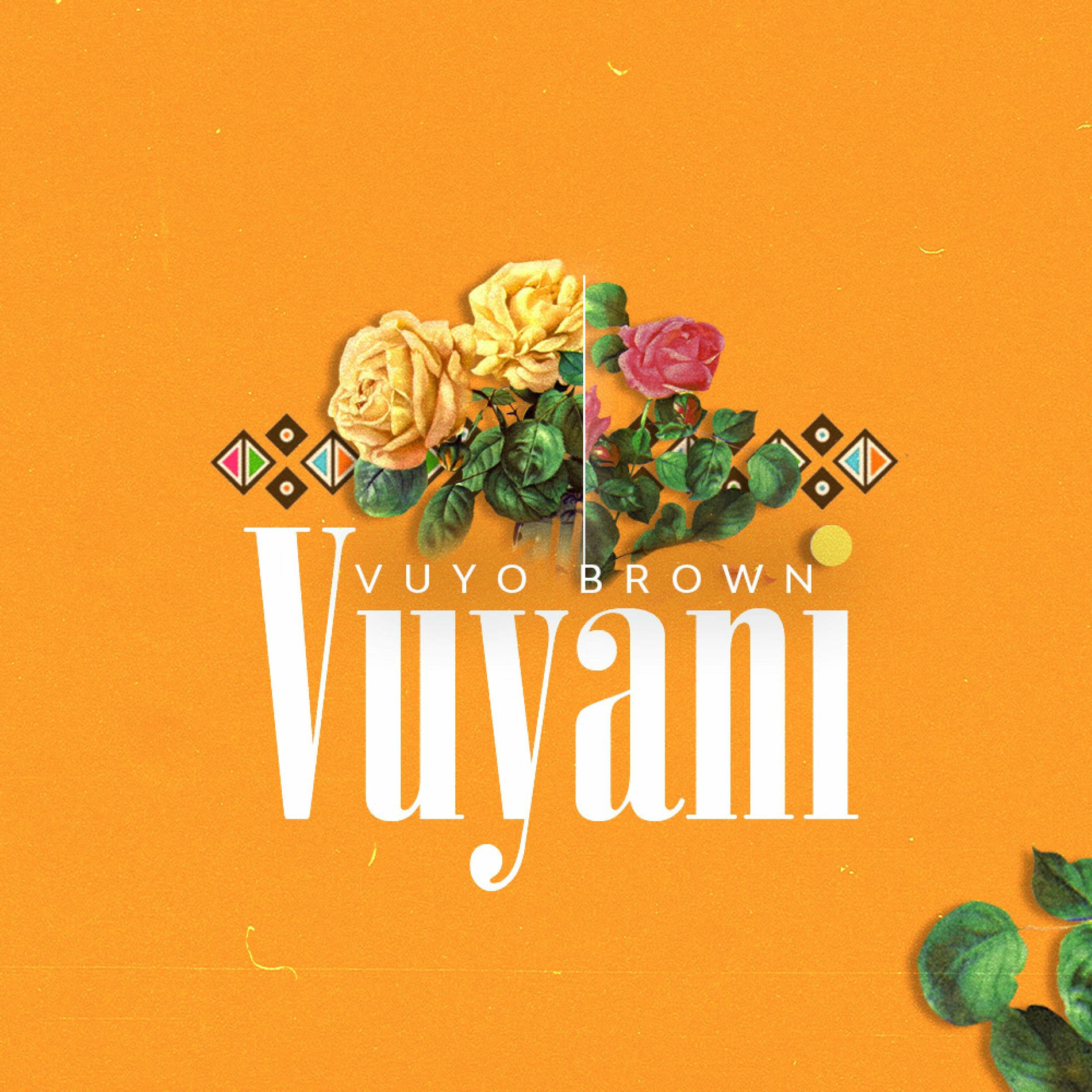Album cover of Vuyani