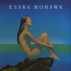 Cover of Essra Mohawk