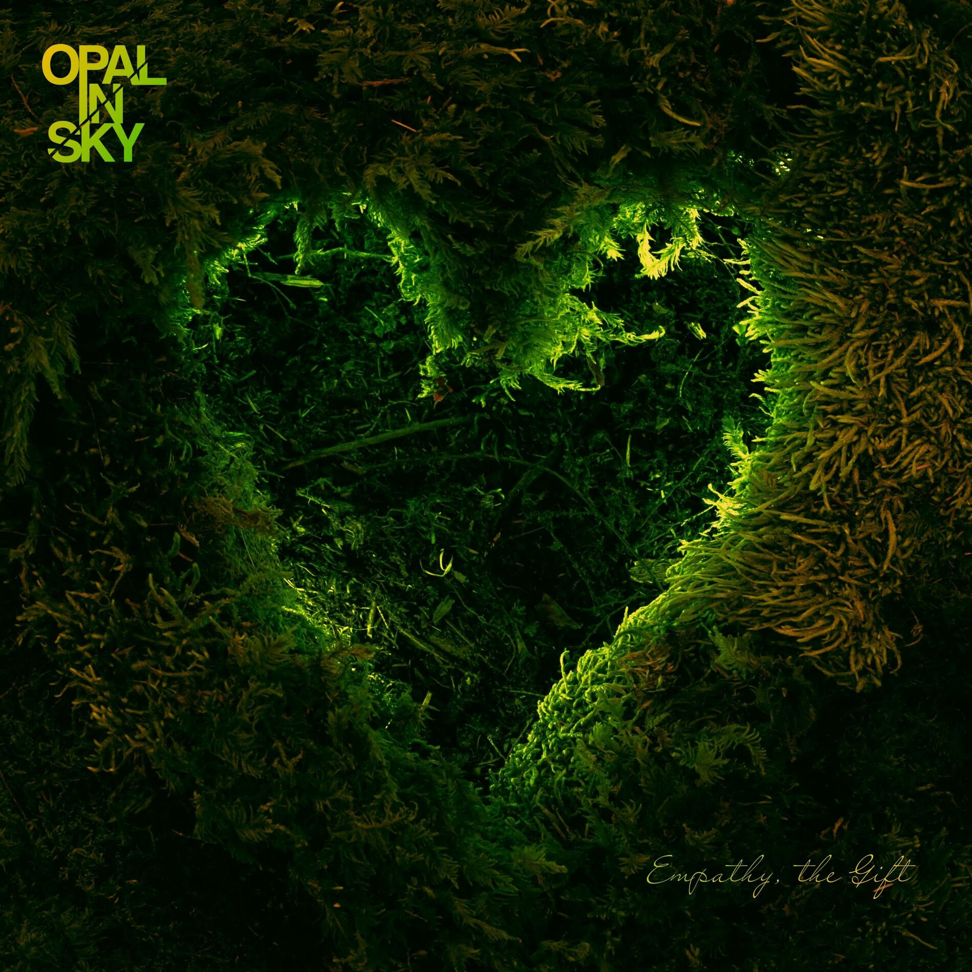 Album cover of Empathy, The Gift