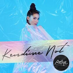 Cover of Kendime Not (Radio Edit)