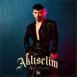 Aklıselim