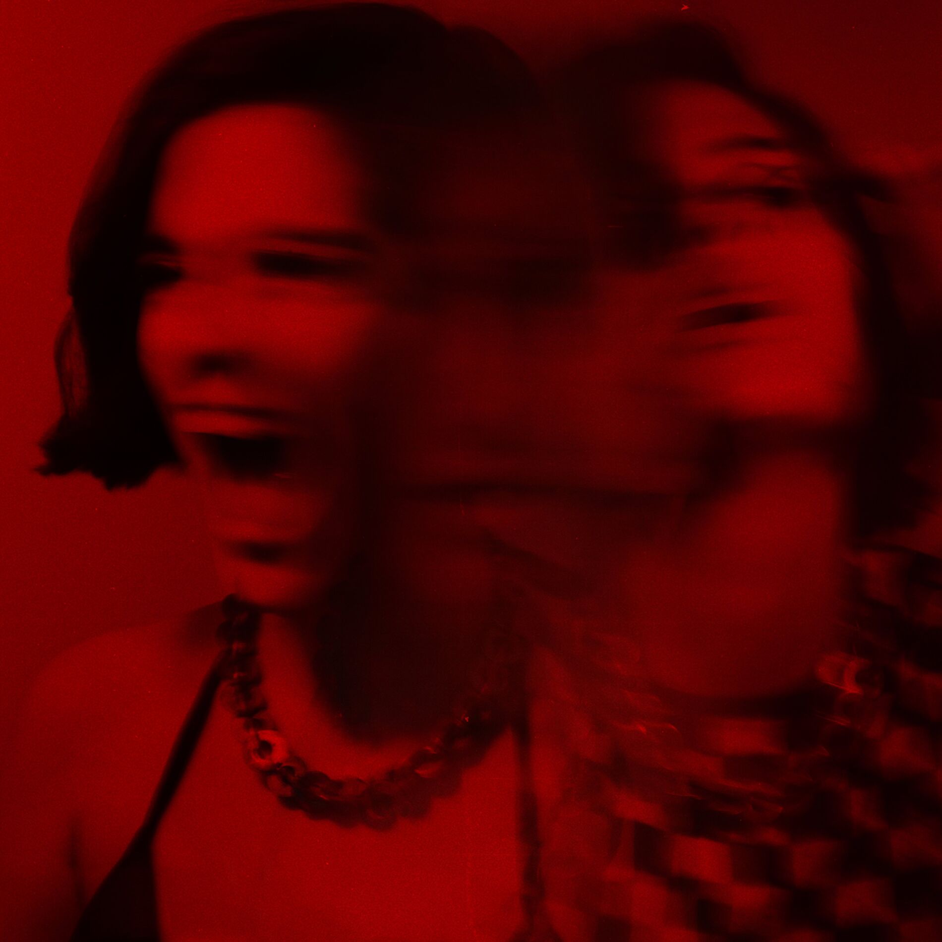 Album cover of Animal