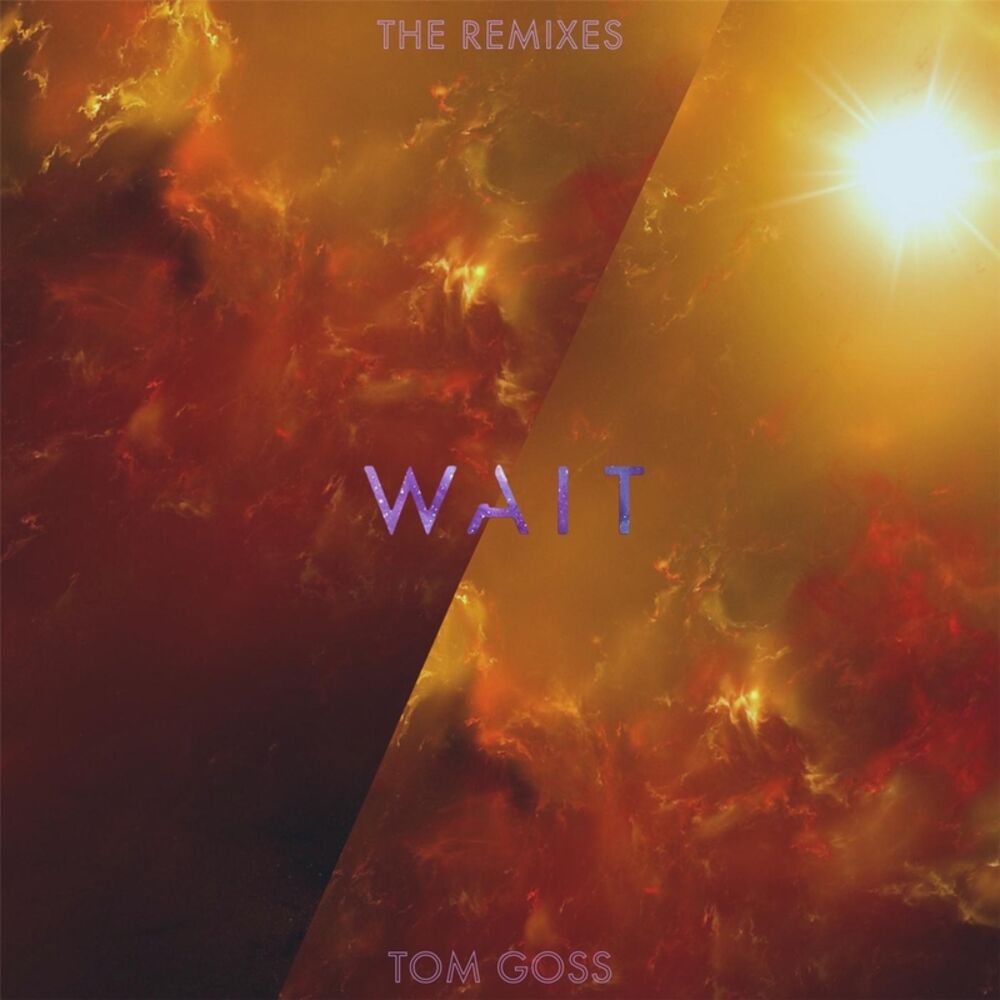 Picture of Wait: The Remixes