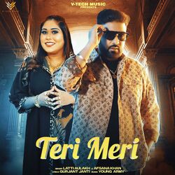 Cover of Teri Meri