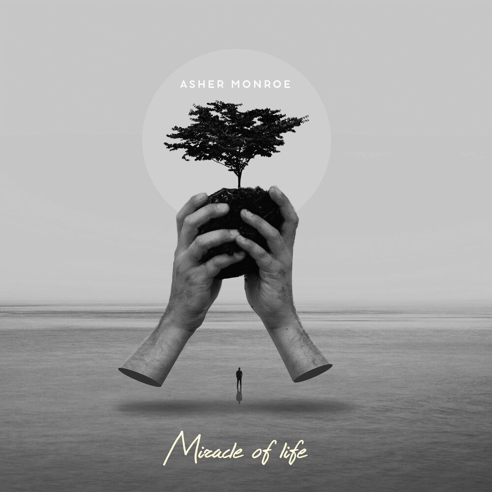 Picture of Miracles of Life