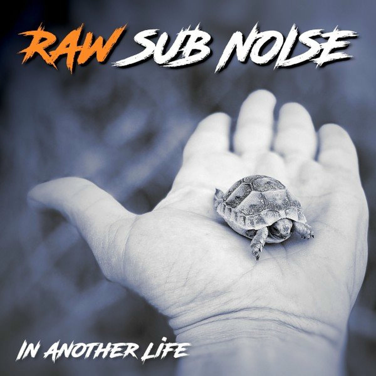 Album cover of In Another Life