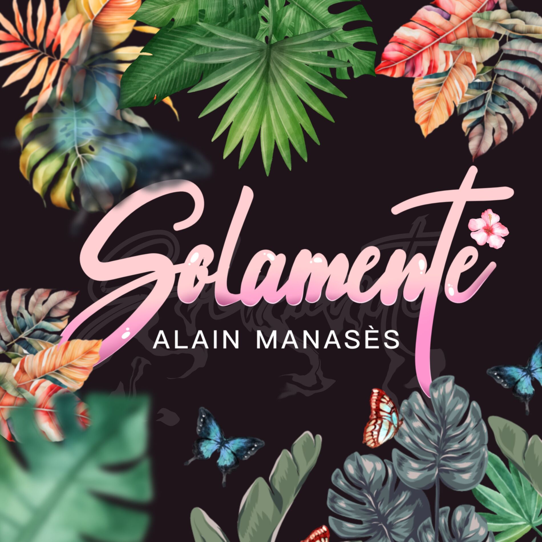 Album cover of Solamente
