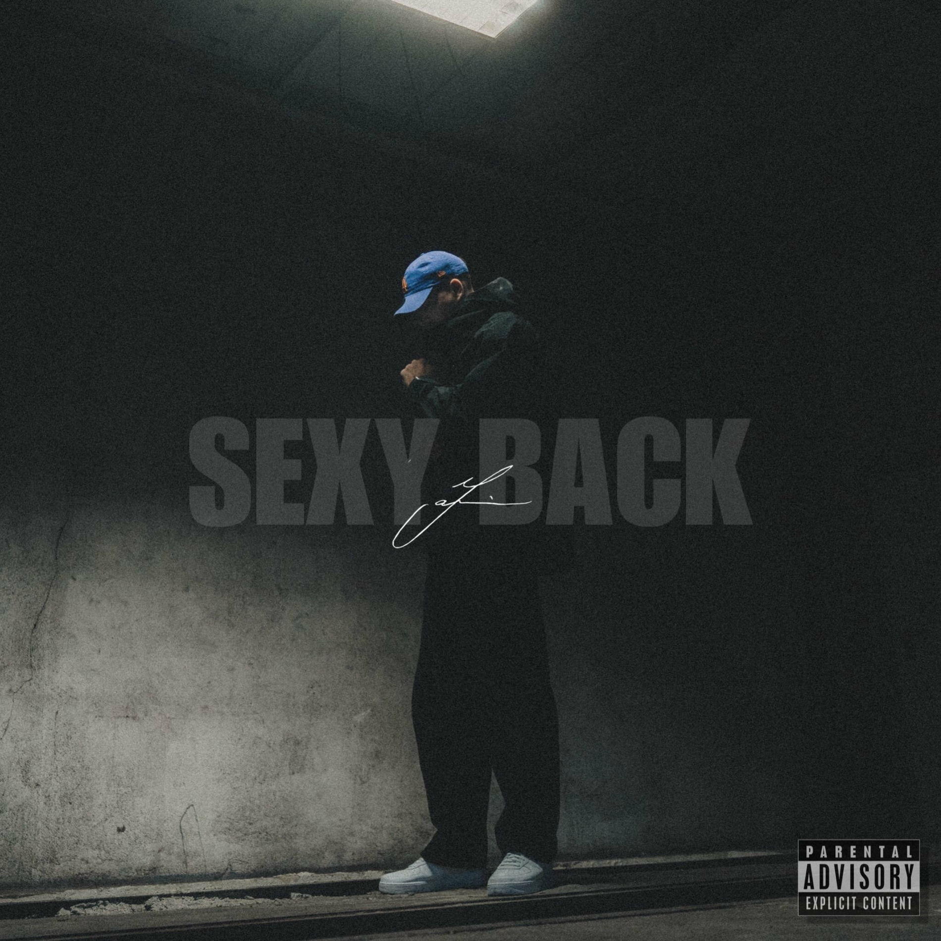Album cover of Sexy Back