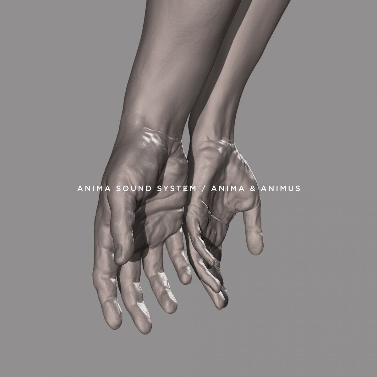 Album cover of Anima & Animus