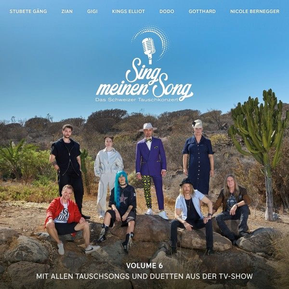 Album cover of Sing Meinen Song - Das Schweizer Tauschkonzert, Vol. 6