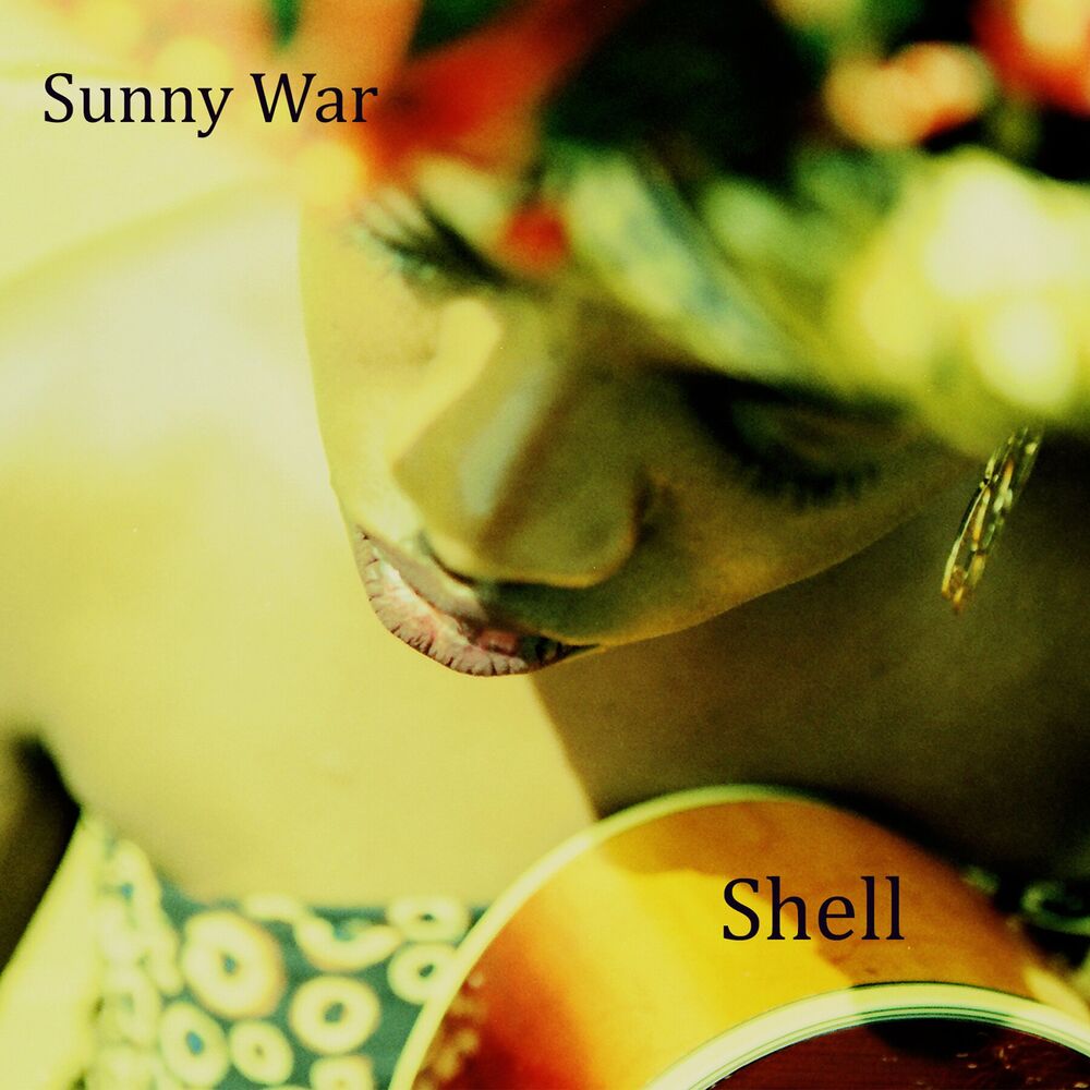 Picture of Shell