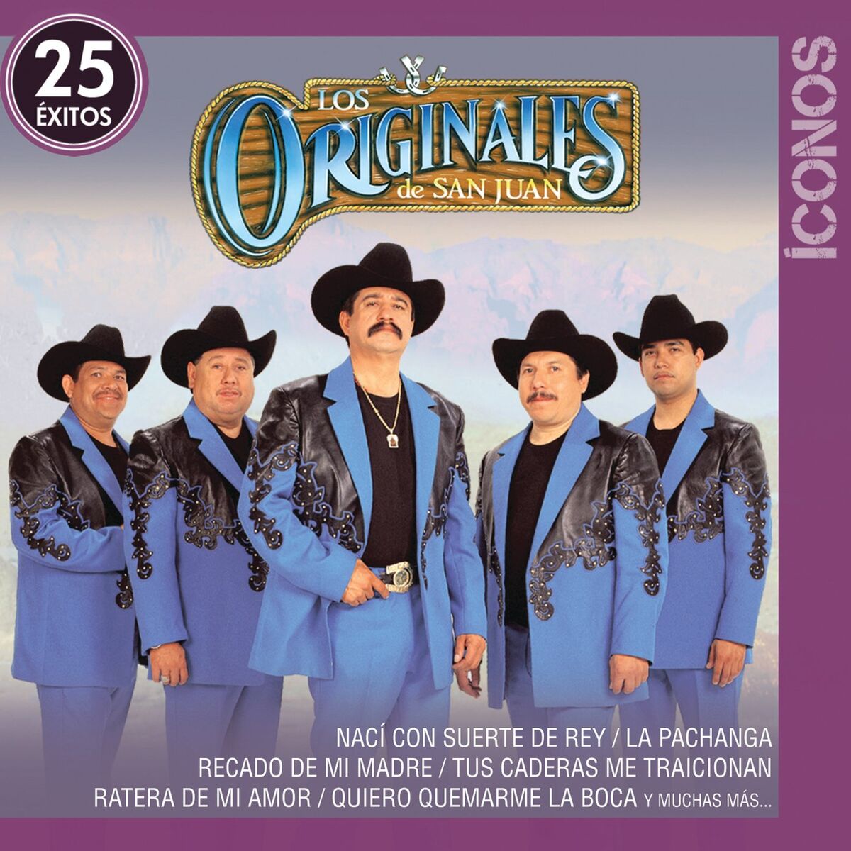 Album cover of Íconos 25 Éxitos