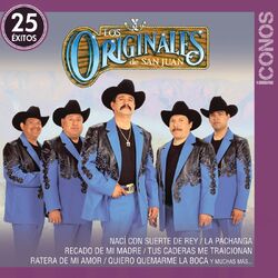 Cover of Íconos 25 Éxitos