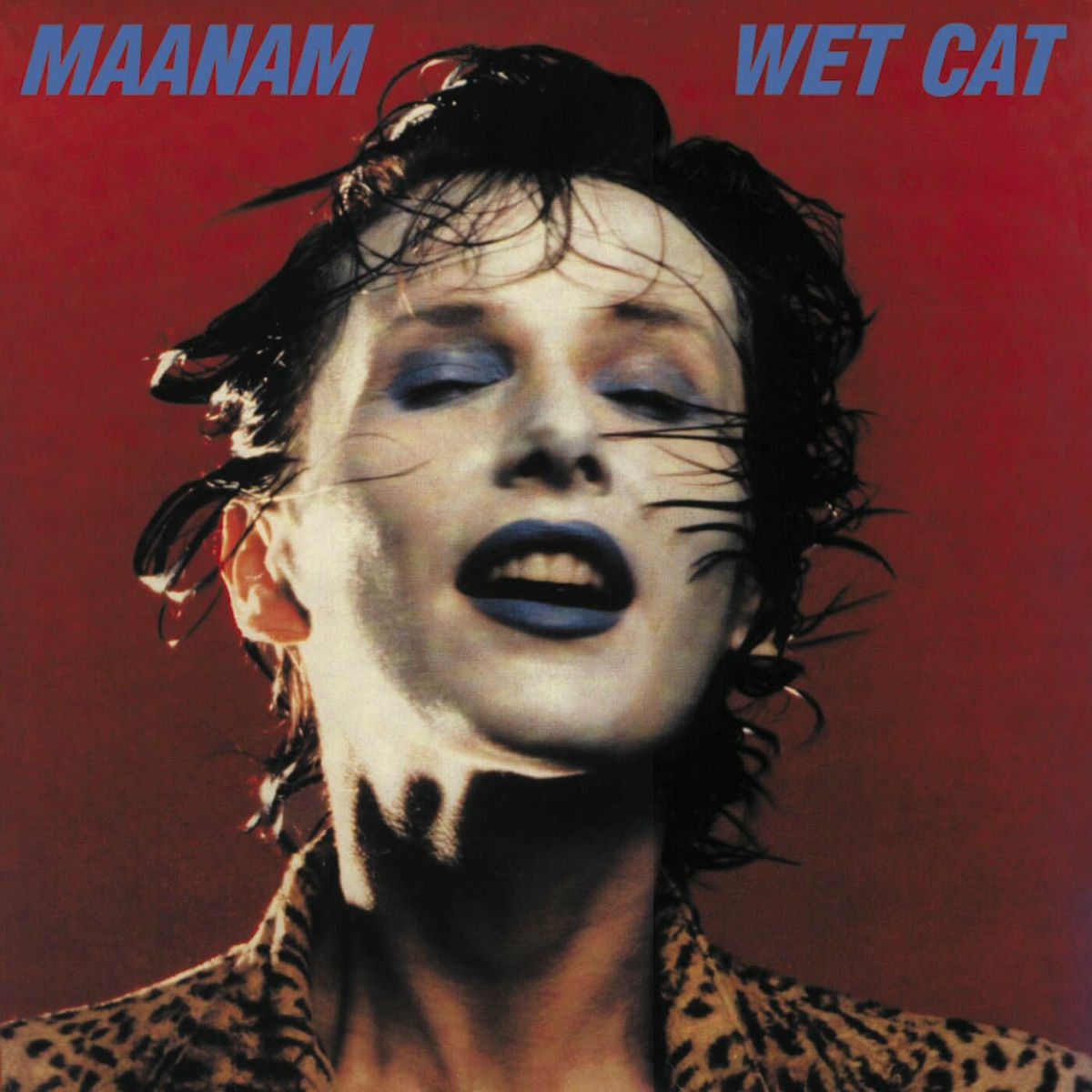 Album cover of Wet Cat