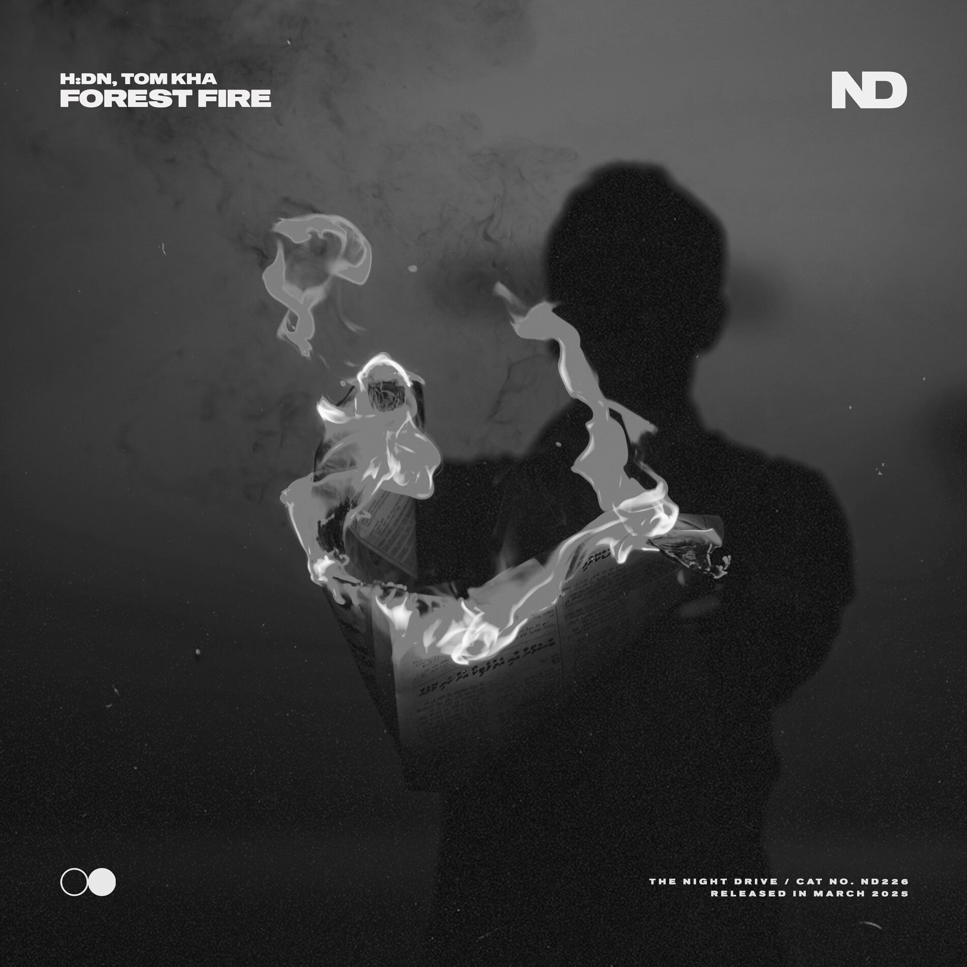 Album cover of Forest Fire