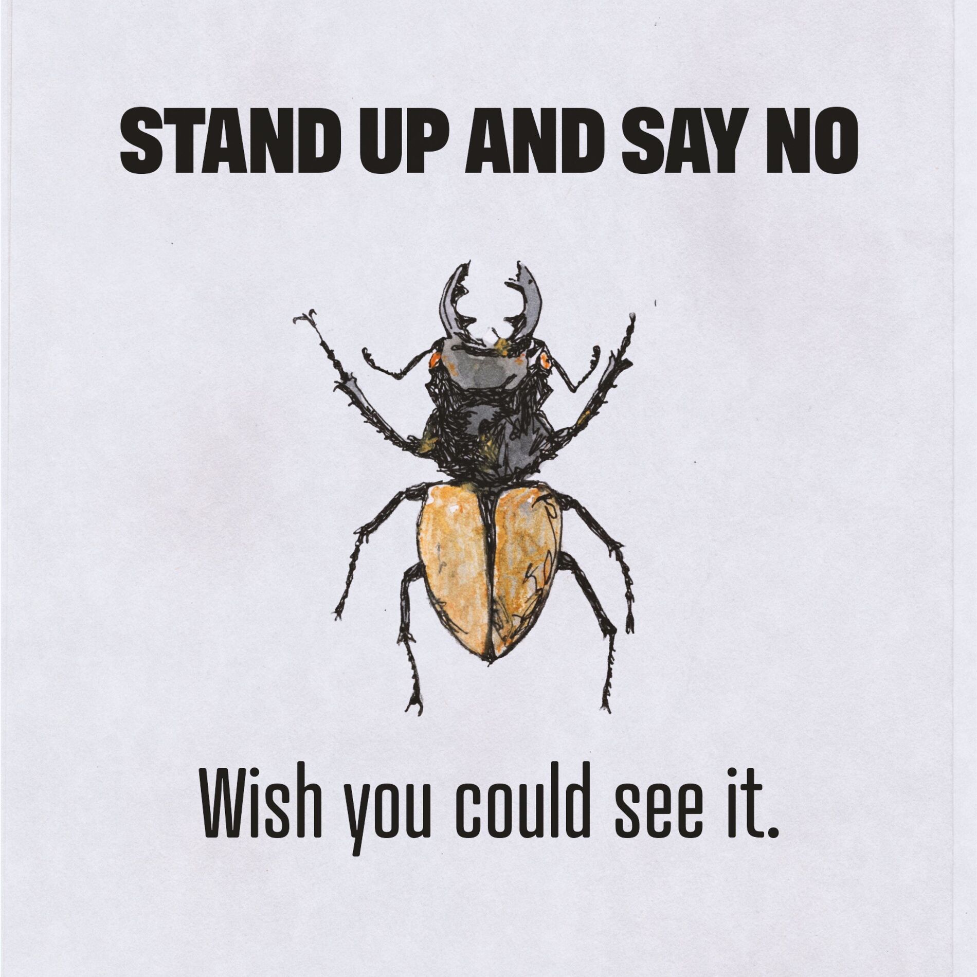 Album cover of Wish You Could See It