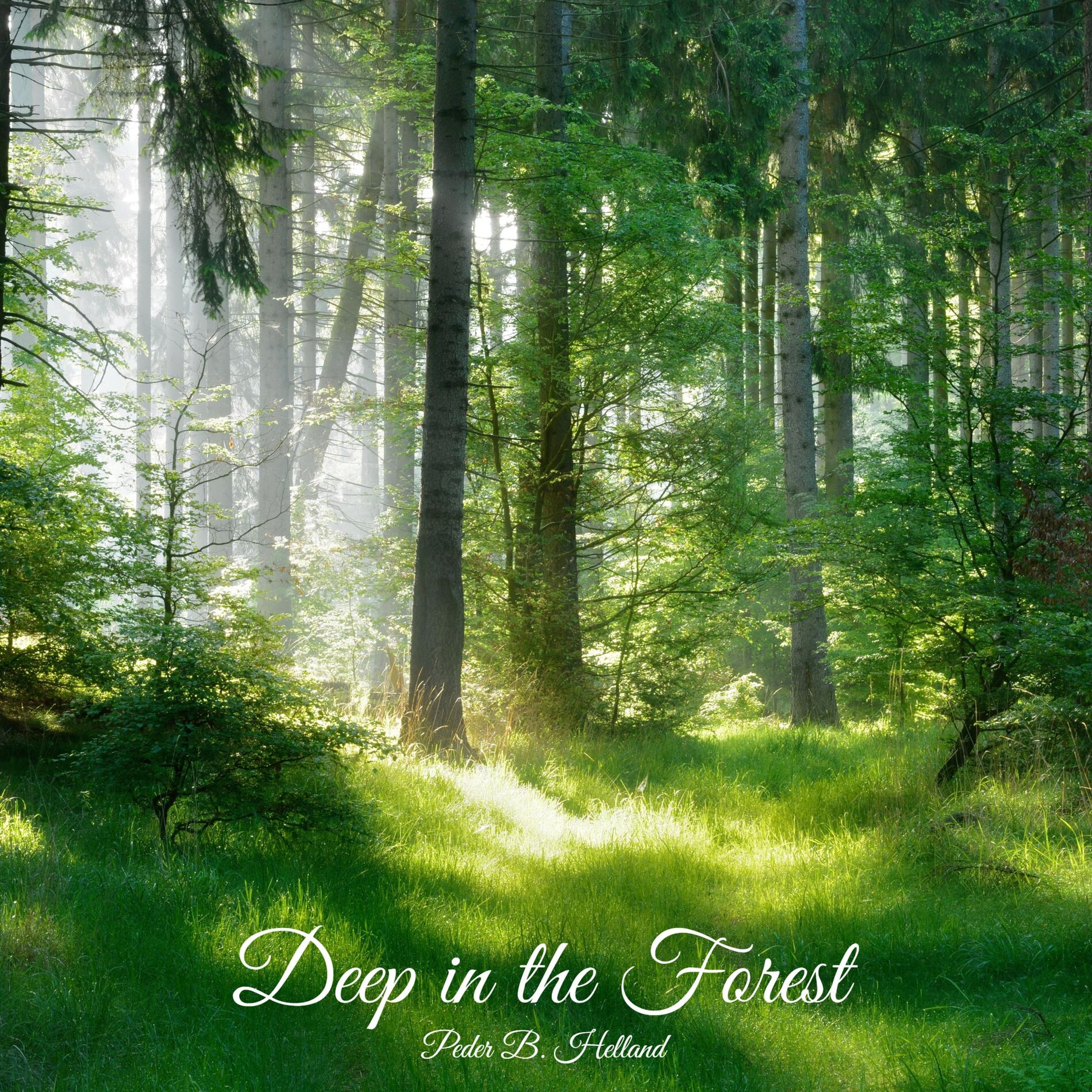 Album cover of Deep in the Forest