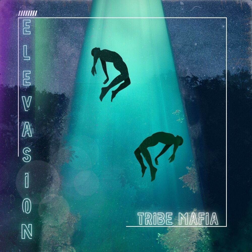 Picture of ELEVASION