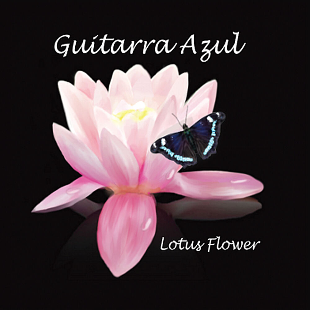Picture of Lotus Flower