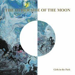 Cover of THE OTHER SIDE OF THE MOON